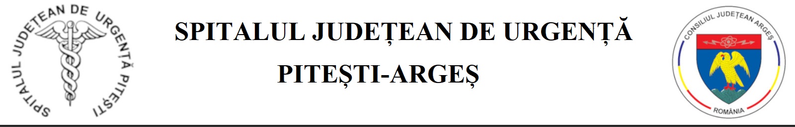 Stema SJU Pitești